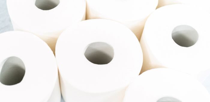 Papier toilette professionnel : comment choisir une solution adaptée à vos sanitaires ?